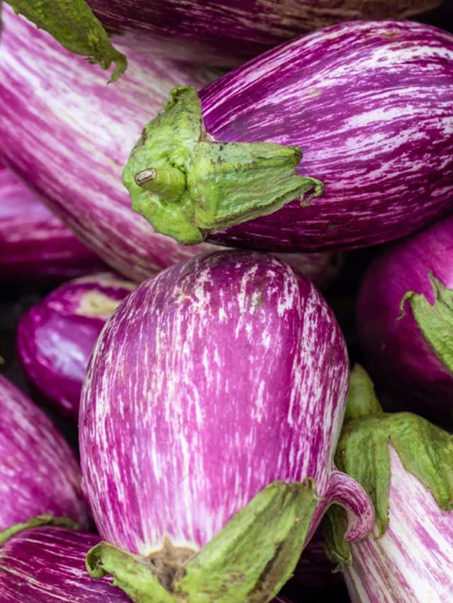 వంకాయలు వారికి మహా డేంజర్ బాబోయ్.. తింటే, విషంతో సమానం