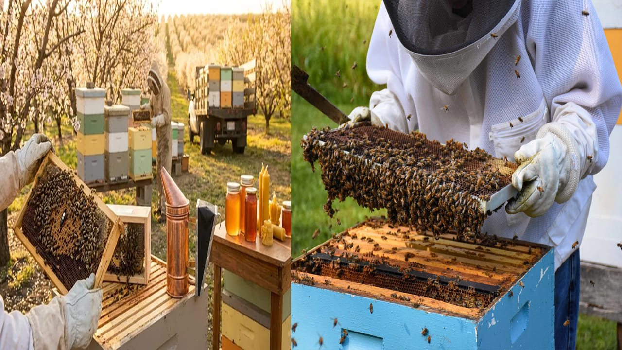 Business Idea: లక్షల్లో లాభాలు తెచ్చే తేనెటీగల పెంపకం.. తక్కువ పెట్టుబడితో అదిరిపోయే బిజినెస్ ఐడియా!
