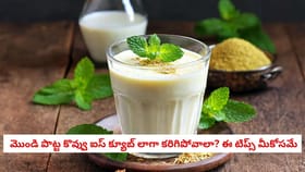 3 వారాల్లోనే మొండి పొట్ట కొవ్వు ఐస్ క్యూబ్ లాగా కరిగిపోవాలా? ఈ ట