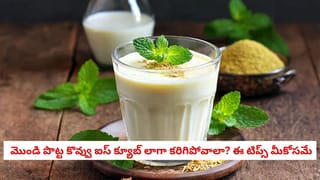 Papaya Face Pack: మీ పెరట్లో పండే ఈ ఒక్క పండు, మీ ముఖంపై ఉన్న నల్ల మచ్చలను తొలగించడానికి ఒక సర్వరోగ నివారిణి!