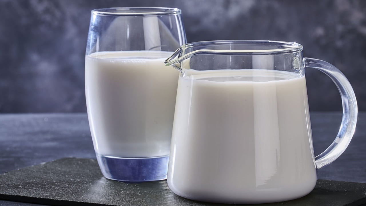 ముందుగా, పాలలో ఉండే కాల్షియం పరిమాణాన్ని పరిశీలిద్దాం. ఆవు పాలలో 100 మిల్లీలీటర్లకు కేవలం 120 మిల్లీగ్రాముల కాల్షియం మాత్రమే ఉంటుంది. గేదె పాలలో ఇది కొంచెం ఎక్కువ, 100 మిల్లీలీటర్లకు 210 మిల్లీగ్రాములు లభిస్తుంది. ఈ సంఖ్యలను గుర్తుంచుకోవడం ద్వారా ఇతర ఆహార వనరులతో పోల్చడం సులభమవుతుంది.
