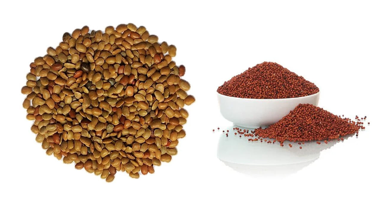 ఉలవలు, రాగి: మన జాబితాలో మొదటిది ఉలవలు. 100 గ్రాముల ఉలవల్లో 290 మిల్లీగ్రాముల కాల్షియం ఉంటుంది. ఇది ఆవు పాలు, గేదె పాల కంటే ఎక్కువ. రాగి పోషకాల గని. 100 గ్రాముల రాగుల్లో సుమారు 350 మిల్లీగ్రాముల కాల్షియం లభిస్తుంది.
