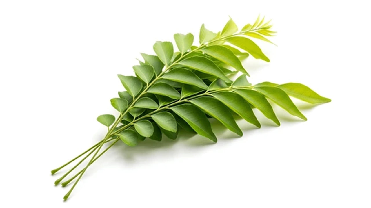 కరివేపాకు, అవిసె ఆకులు: కూరల్లో సువాసన కోసం వాడి, తినేటప్పుడు తీసి పక్కన పెట్టే కరివేపాకు కాల్షియం విషయంలో నిజమైన ఆశ్చర్యం కలిగిస్తుంది. 100 గ్రాముల కరివేపాకులో 880 మిల్లీగ్రాముల కాల్షియం ఉంటుంది. ఇది ఆవు పాలుతో పోలిస్తే దాదాపు ఏడు రెట్లు ఎక్కువ. కాల్షియం విషయంలో అసలైన ఛాంపియన్లలో అవిసె ఆకులు ఒకటి. 100 గ్రాముల అవిసె ఆకుల్లో 1200 మిల్లీగ్రాముల కాల్షియం లభిస్తుంది. ఇది ఆవు పాల కంటే సరిగ్గా పది రెట్లు ఎక్కువ.
