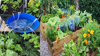 వంటింట్లో ఎక్కువ క్రిములు ఉండేది ఇందులోనే.. ఇది మార్చకపోతే ప్రమాదమే?