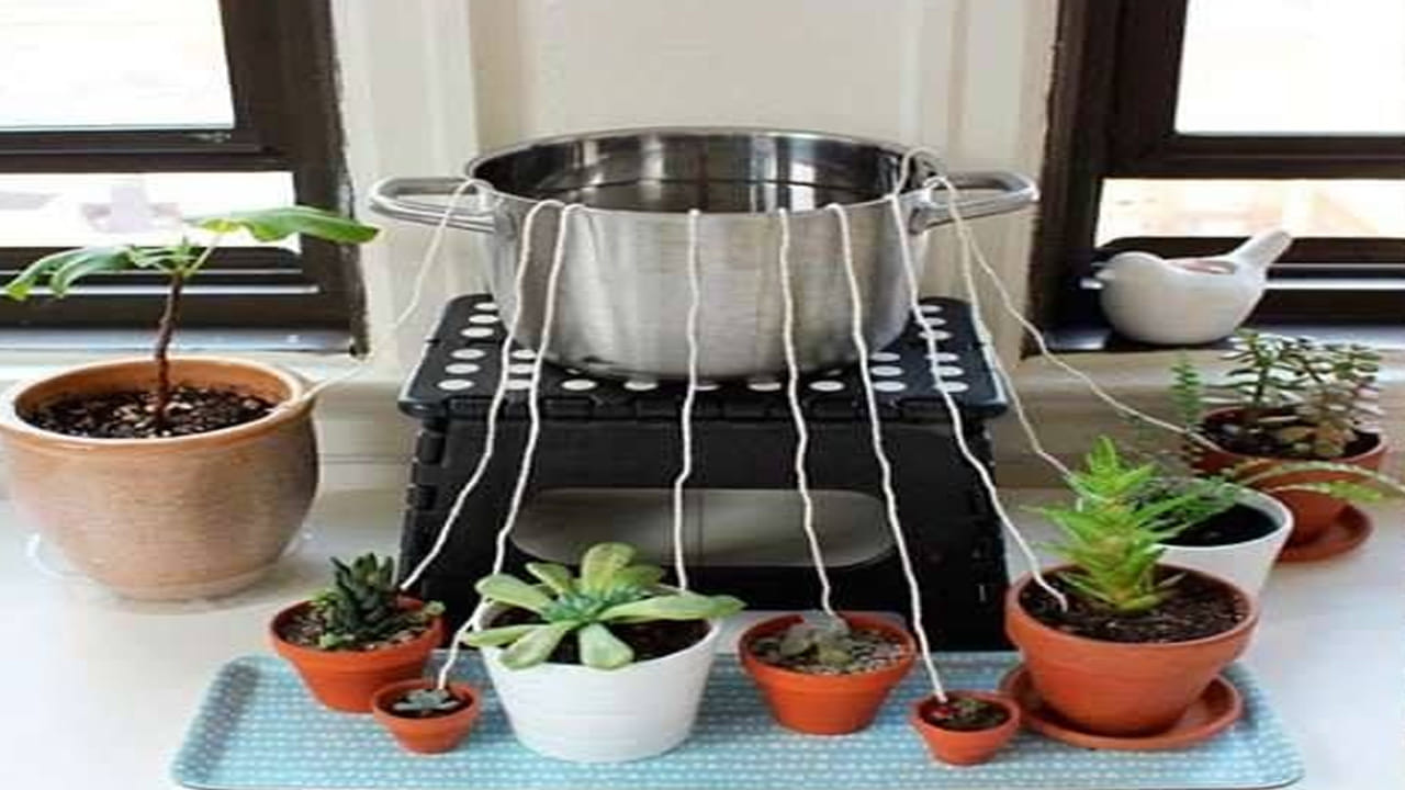 Capillary Watering System