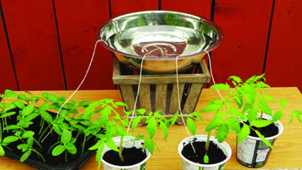 Capillary Watering System