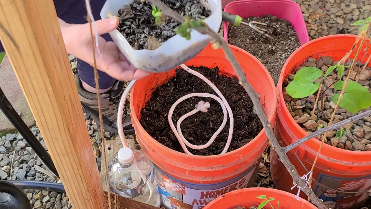 Capillary Watering System