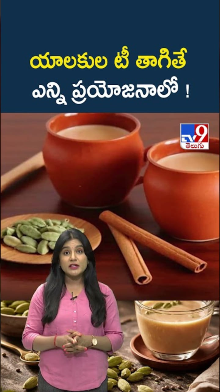 Elachi Tea: యాలకుల టీ.. రోజూ ఒక కప్పుతో ఆరోగ్యం ఫుల్!