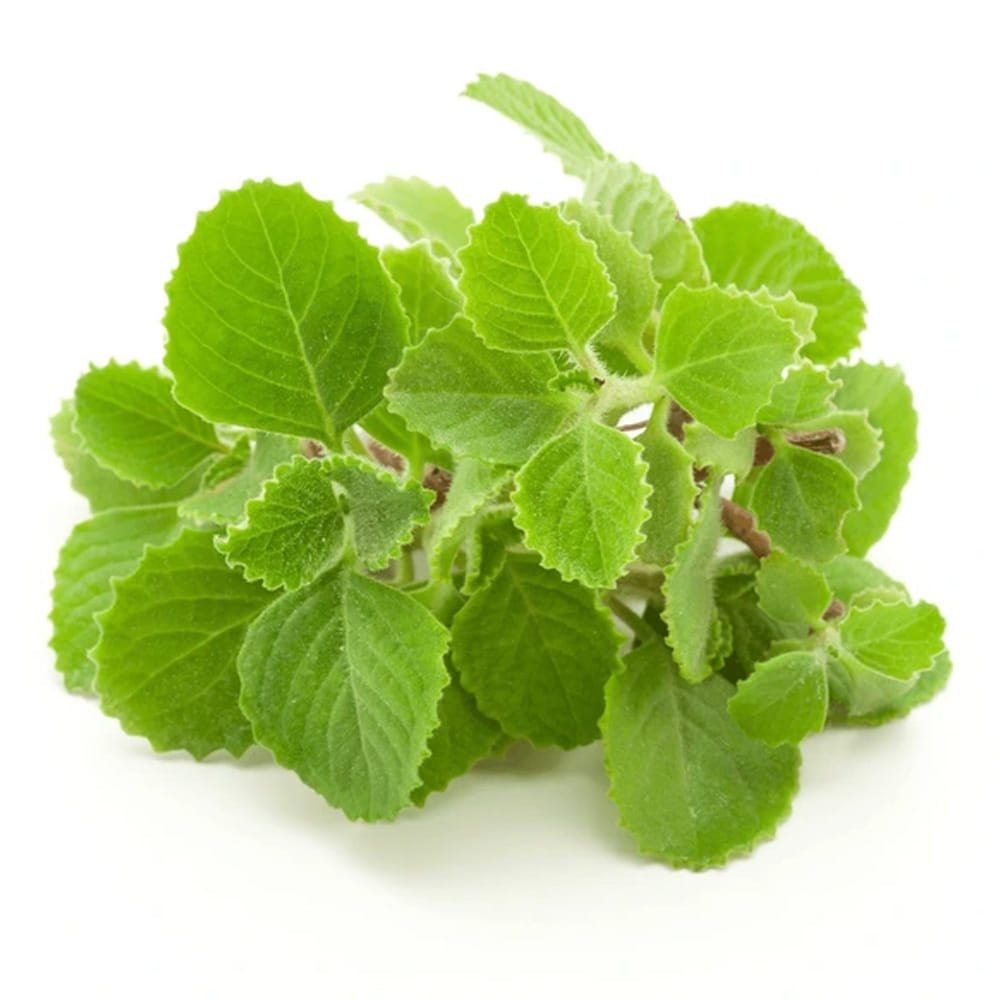 ఈ చిట్కా కోసం ప్రధానంగా నాలుగు పదార్థాలను ఉపయోగిస్తాం. మొదటిది వామాకు. వామాకులో కేవలం ఆరోగ్య ప్రయోజనాలే కాకుండా, చర్మ సౌందర్యాన్ని పెంచే గుణాలు కూడా ఉన్నాయి. దీనిలో ఉండే యాంటీ బ్యాక్టీరియల్, యాంటీ ఫంగల్ లక్షణాలు మొటిమలకు కారణమయ్యే బ్యాక్టీరియాను సమర్థవంతంగా నాశనం చేస్తాయి. అలాగే నల్ల మచ్చలను, కళ్ళ చుట్టూ ఉండే నల్లటి వలయాలను తొలగించడంలో సహాయపడతాయి. వామాకులోని యాంటీ ఇన్ఫ్లమేటరీ లక్షణాలు ఎలర్జీ సమస్యలను నివారిస్తాయి. యాంటీ ఆక్సిడెంట్లు చర్మాన్ని లోపలి నుండి శుభ్రం చేసి, యవ్వనంగా ఉంచడానికి ఫ్రీ రాడికల్స్‌తో పోరాడతాయి. ఇది చర్మాన్ని ముడతలు పడకుండా చేసి, అదనపు నూనెను కూడా తొలగిస్తుంది.
