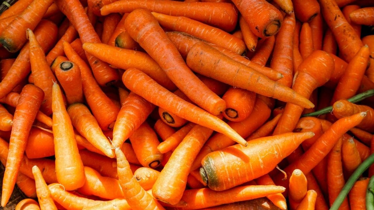 దుంపలు, క్యారెట్: చిలకడదుంపలు వంటి పిండి పదార్థం ఎక్కువగా ఉండే కూరగాయలు అరగడానికి ఎక్కువ సమయం పడుతుంది. ఇది వేసవిలో శరీరానికి నీరసాన్ని కలిగిస్తుంది.  అలాగే క్యారెట్లు కూడా.. ఇవి ఆరోగ్యకరమే అయినప్పటికీ, వీటిలో నీటి శాతం తక్కువగా ఉంటుంది. వీటి జీర్ణక్రియకు శరీరం ఎక్కువ నీటిని ఖర్చు చేయాల్సి వస్తుంది. కాబట్టి ఎండలు ఎక్కువగా ఉన్నప్పుడు వీటి వాడకాన్ని తగ్గించడం మంచిది.