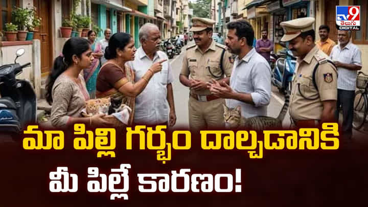 మా పిల్లి గర్భం దాల్చడానికి మీ పిల్లే కారణం.. పోలీసుల జోక్యం తో మా పిల్లి గర్భం దాల్చడానికి మీ పిల్లే కారణం.. పోలీసుల జోక్యం తో