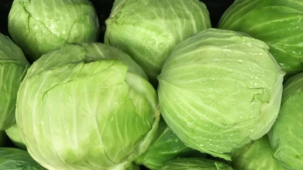 జీర్ణక్రియ - ఎముకల బలానికి క్యాబేజీ: మరోవైపు క్యాబేజీ మన జీర్ణవ్యవస్థను బలపరచడంలో కీలక పాత్ర పోషిస్తుంది. ఇందులో గణనీయమైన మొత్తంలో ఫైబర్ ఉండటం వల్ల మలబద్ధకం వంటి సమస్యల నుండి ఉపశమనం లభిస్తుంది. అలాగే ఇందులో ఉండే విటమిన్ కె, కాల్షియం ఎముకలను దృఢంగా ఉంచడానికి, శరీరంలోని వాపులను తగ్గించడానికి సహాయపడతాయి. జీర్ణ సంబంధిత సమస్యలు ఉన్నవారికి, పేగుల ఆరోగ్యాన్ని మెరుగుపరుచుకోవాలి అనుకునే వారికి క్యాబేజీ ఒక ఉత్తమమైన ఆహారం.
