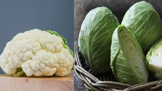 గడ్డి అనుకుంటే పప్పులో కాలేసినట్లే.. ఈ మొక్క కిడ్నీలో రాళ్లను ఈజీగా కరిగించేస్తుంది..