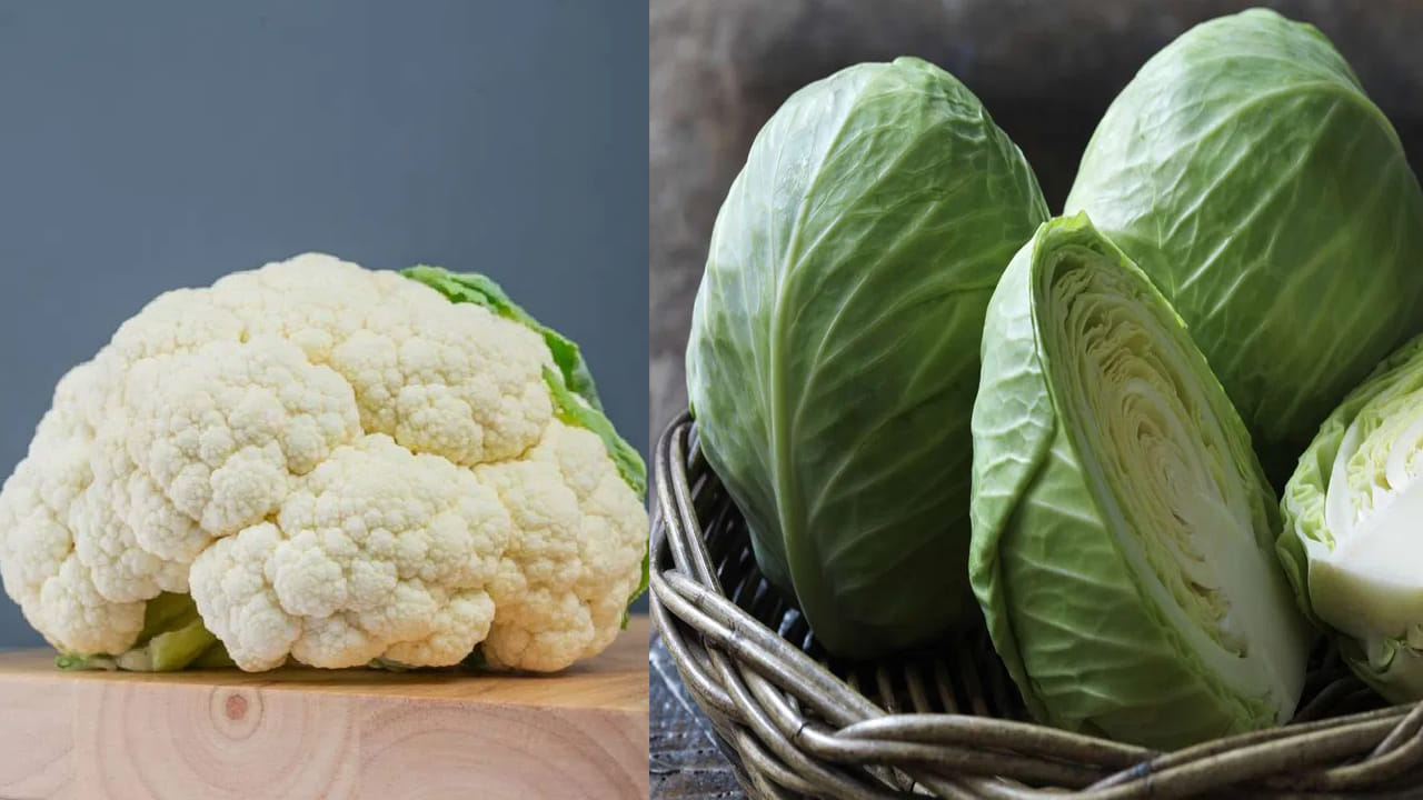 పోషకాల యుద్ధంలో విజేత ఎవరు?: ఈ రెండు కూరగాయలు వాటి వాటి ప్రత్యేక ప్రయోజనాలను కలిగి ఉన్నాయి. రోగనిరోధక శక్తి, యాంటీఆక్సిడెంట్ల విషయానికి వస్తే కాలీఫ్లవర్ కొద్దిగా ముందుంటుంది. అయితే జీర్ణక్రియ, ఎముకల ఆరోగ్యానికి మాత్రం క్యాబేజీ మెరుగైన ఫలితాలను ఇస్తుంది. కాబట్టి మీ ఆరోగ్య అవసరాలను బట్టి ఈ రెండింటినీ మీ ఆహారంలో భాగం చేసుకోవడం మంచిది. 
