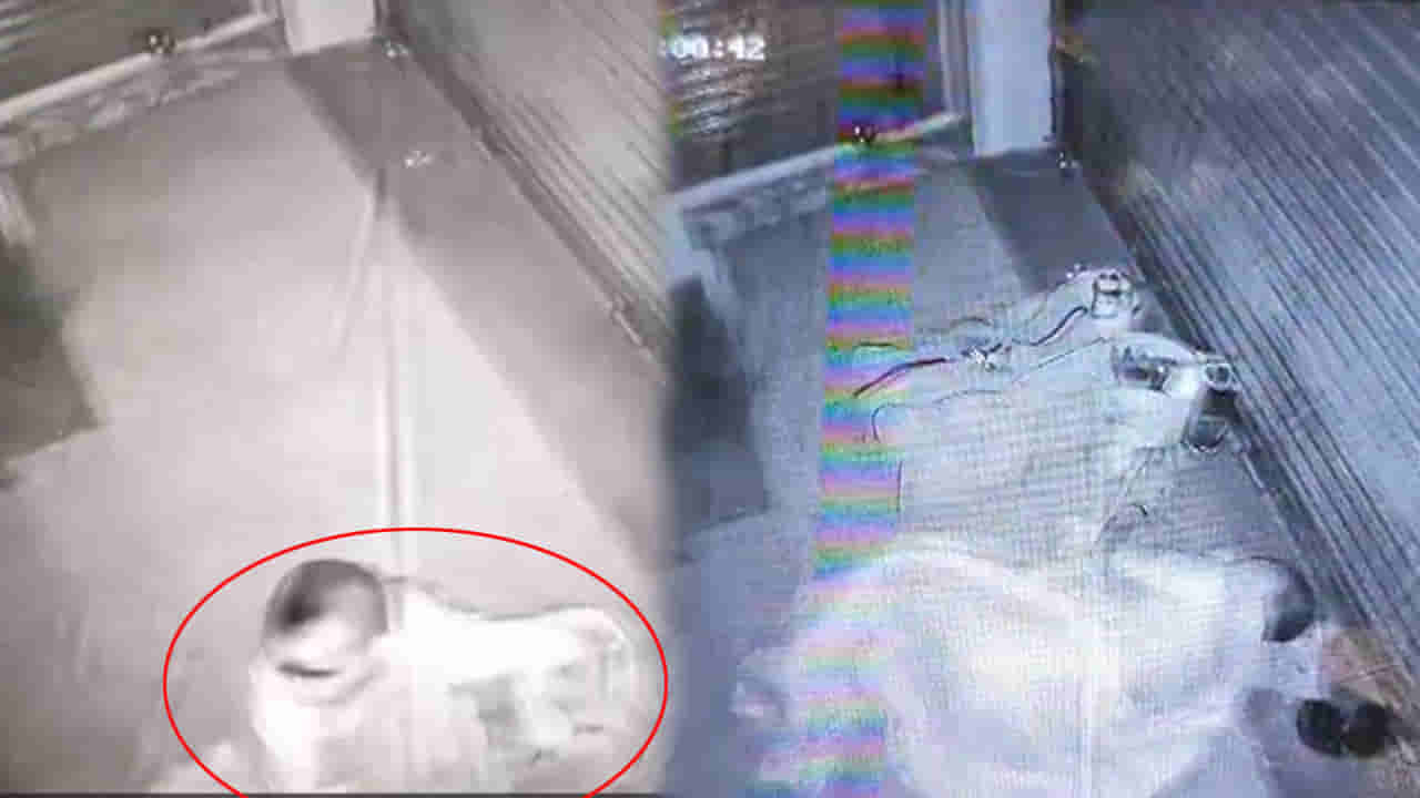 Andhra: తెల్లారేసరికి షాప్‌ దగ్గరకు పరుగులు పెట్టిన యజమాని.. సీసీ కెమెరా చూడగా.. ‌