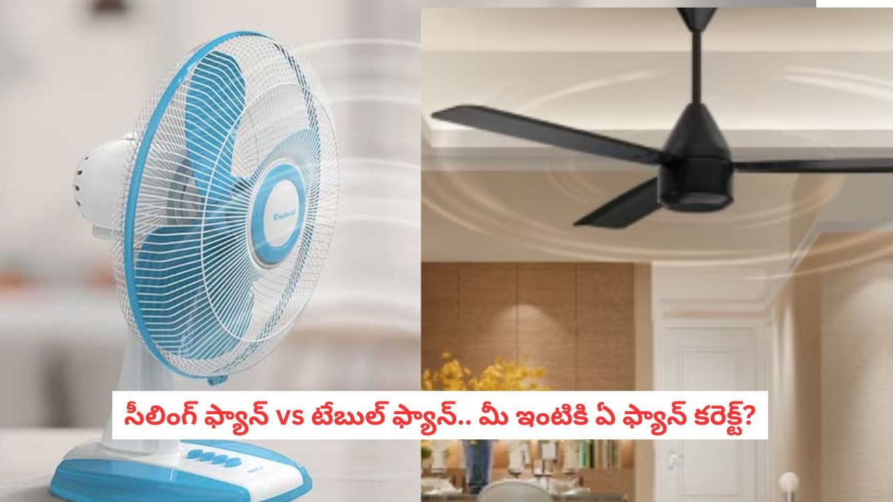 SummerTips: మండే ఎండల్లో.. సీలింగ్ ఫ్యాన్ vs టేబుల్ ఫ్యాన్.. మీ ఇంటికి ఏ ఫ్యాన్ కరెక్ట్?