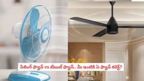 సీలింగ్ ఫ్యాన్ vs టేబుల్ ఫ్యాన్.. మీ ఇంటికి ఏ ఫ్యాన్ కరెక్ట్?