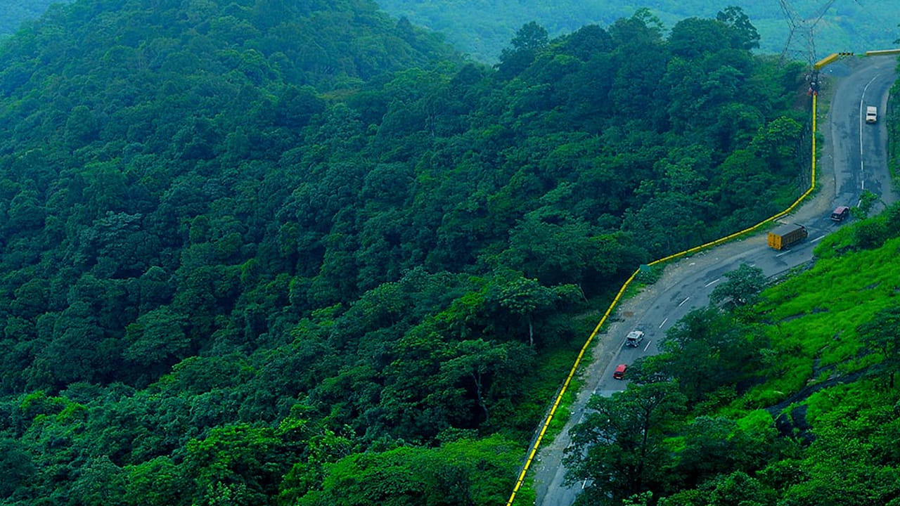 వయనాడ్ : కేరళలో ఉన్న అందమైన ప్రదేశాల్లో వయనాడ్ కూడా ఒకటి. పృథ్వీ రాజ్ సుకుమారన్, ఫహద్ ఫాసిల్ వంటి మలయాళం సినీ తారలు ఎక్కువగా వయనాడ్ వెళ్లి అక్కడ ఆనందంగా ఎంజాయ్ చేస్తుంటారు. అందమైన హిల్ స్టేషన్స్, కేఫ్‌లు, ఫారెస్ట్ స్టేలు ఇవన్నీ మానసిక ఆనందాన్ని మెరుగు పరుస్తాయి.