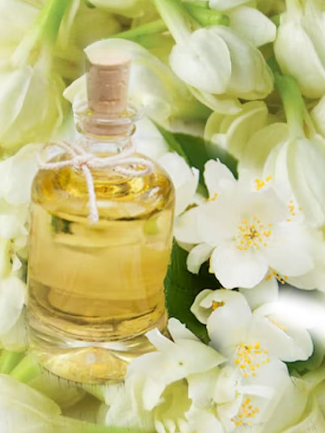 బయట కొనాల్సిన పనే లేదు.. ఇంట్లోనే మల్లెపూలతో సెంట్ తయారీ.. ఎలా అంటే?