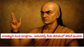 Muscle Building: జిమ్‌కు వెళ్తున్నా కండరాలు పెరగడం లేదా? మీ డైట్‌లో ఈ 7 ఆహారాలు ఉంటే బాడీ బిల్డింగ్ ఈజీనే