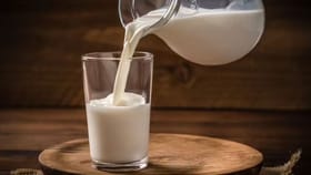 బీ అలర్ట్.. స్వచ్ఛమైన పాలు తాగుతున్నారా లేదా తెలుసుకోండిలా