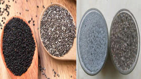 సబ్జా vs చియా సీడ్స్.. ఎండాకాలంలో ఆరోగ్యానికి ఏది మంచిది..?