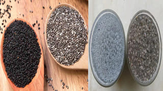 ఇంట్లో పిల్లలు, వృద్ధులు ఉన్నారా? సమ్మర్ హీట్ నుంచి వారిని కాపాడుకోండి ఇలా