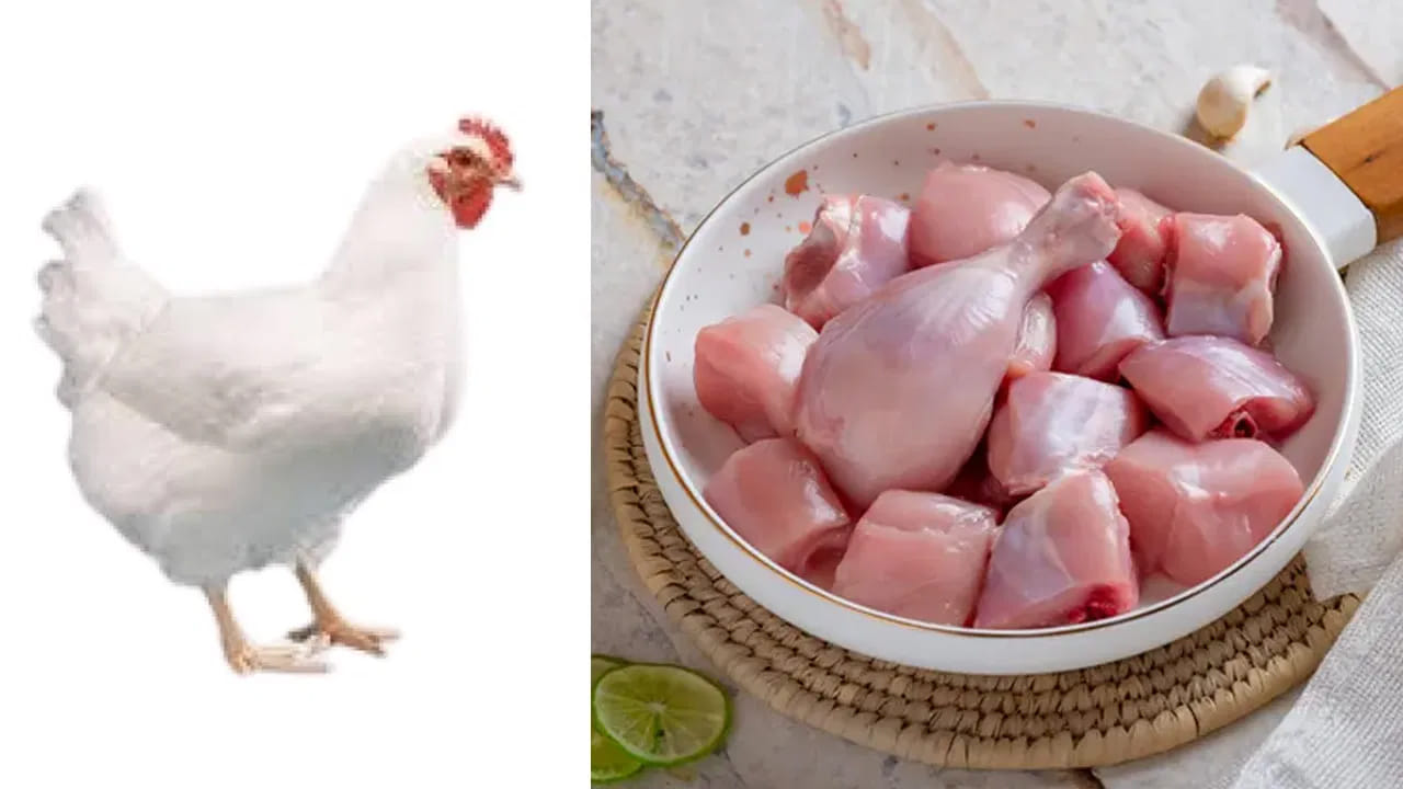 Chicken Parts