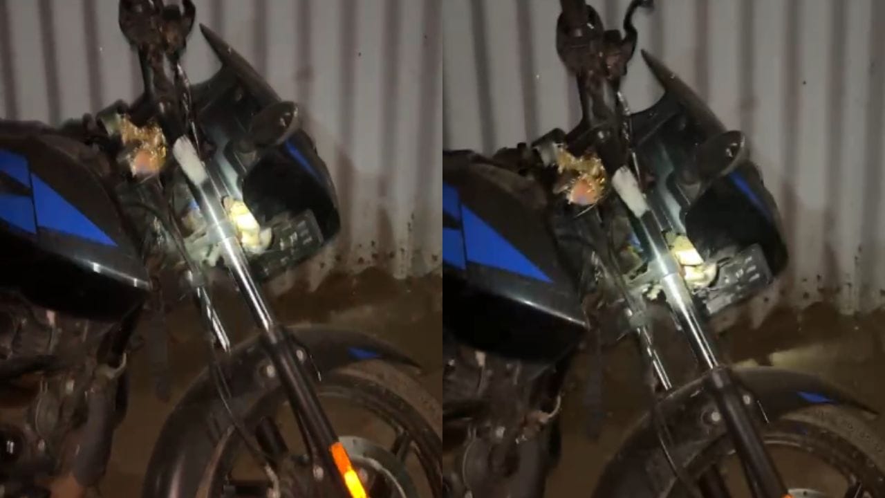 Viral Video: బయటకెళ్దామని బండి తీశాడు.. తాళం ఆన్ చేస్తుండగా కనిపించింది చూసి..