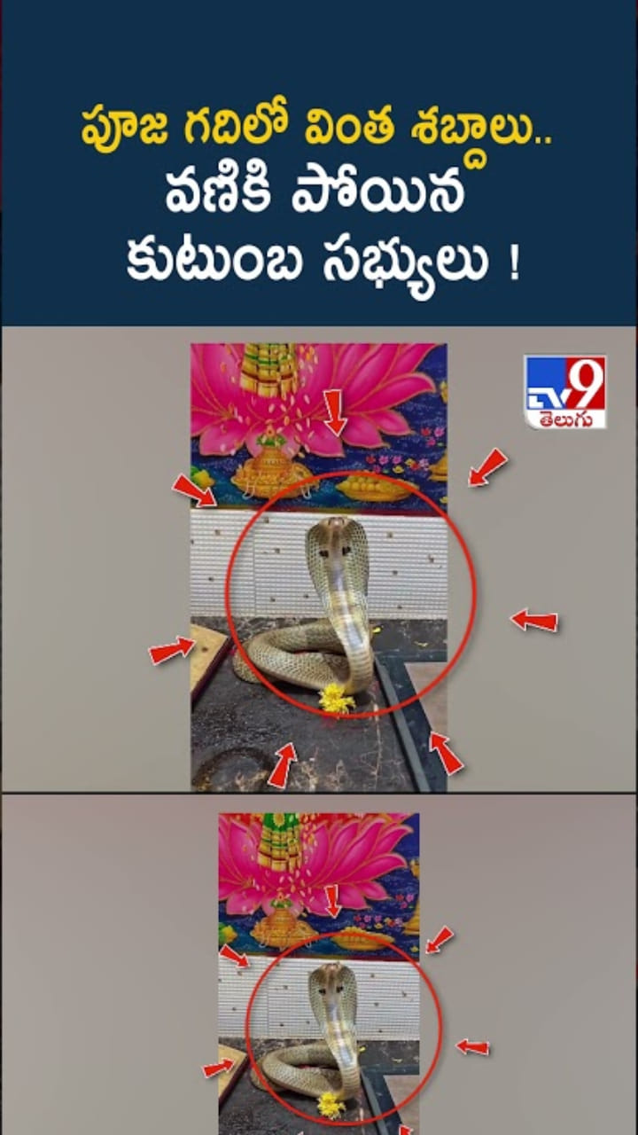 పూజ గదిలో వింత శబ్దాలు.. వణికిపోయిన కుటుంబ సభ్యులు..!