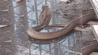 TG Inter 2026 Result Date: విద్యార్ధులకు అలర్ట్.. ఇంటర్ ఫలితాలు 2026 విడుదల తేదీ వచ్చేసింది! ఎప్పుడంటే..