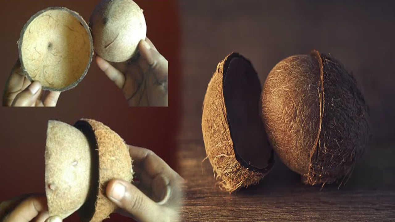 అబ్బబ్బ.! ఇన్ని రోజులు ఎంత కష్టపడ్డామో.. ఇలా ఈజీగా కొబ్బరి చిప్ప నుంచి కొబ్బరిని వేరు చేయొచ్చు