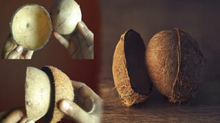 Sweets Crave: భోజనం తర్వాత స్వీట్లు తినాలని ఎందుకు అనిపిస్తుంది? మీకూ ఈ అలవాటు ఉందా..