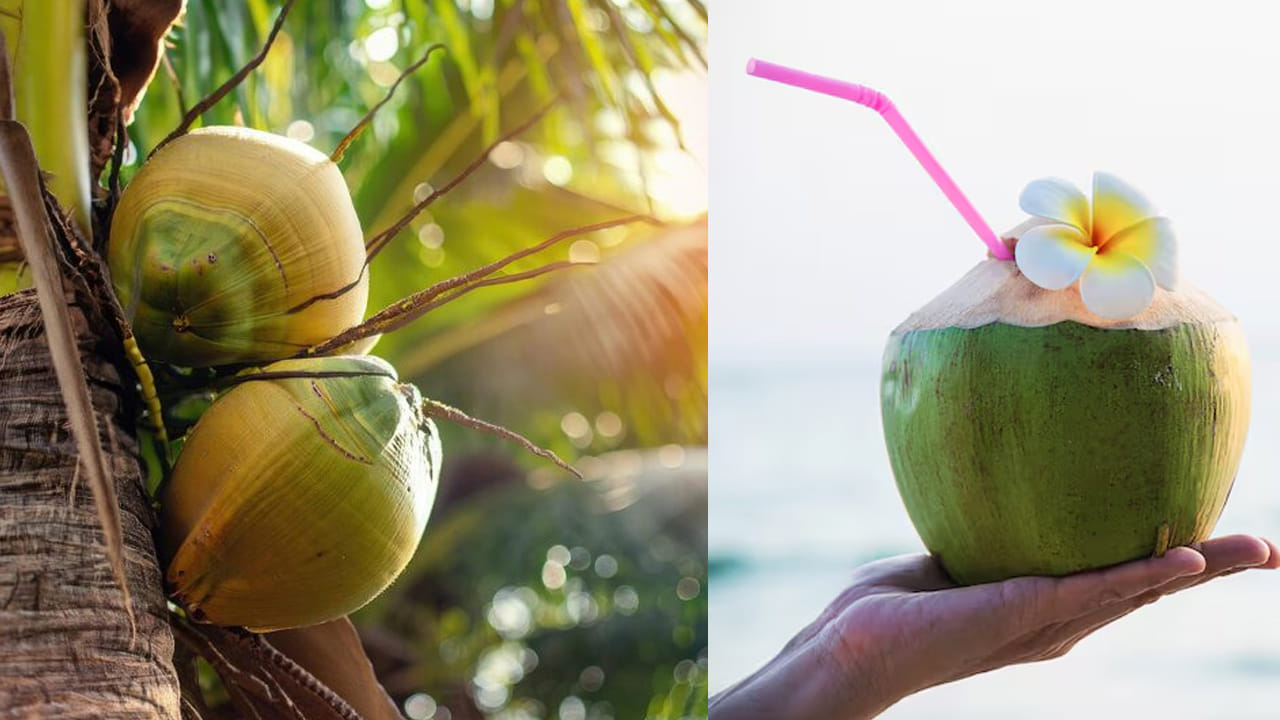 Coconut Water
