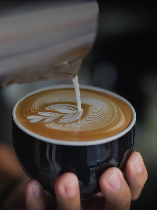 కాఫీ కాలేయ ఆరోగ్యాన్ని మెరుగు పరుస్తుందా?