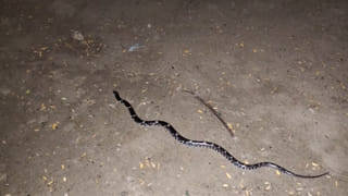 ఎంత పనిచేశావ్‌ రా.. క్రికెట్ మ్యాచ్‌లో ఒక్క రన్ కోసం గొడవ.. ఆ తర్వాత కత్తితో దారుణంగా..