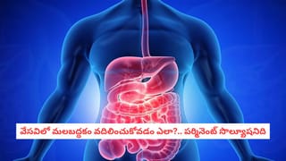 Watermelon Facts:పుచ్చకాయను రాత్రి వేళ అస్సలు ముట్టుకోవద్దు.. ఎందుకో తెలిస్తే షాక్ అవుతారు!