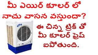 బ్రహ్మ కమలం మొక్క విరగబూయాలంటే ఈ ఒక్క టిప్ పాటించండి చాలు