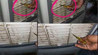 తెలుగు రాష్ట్రాల్లో పెట్రోల్ సెగ.. పుకార్లతో పానిక్ బయ్యింగ్.. అప్రమత్తమైన తెలంగాణ సర్కార్!