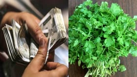 జస్ట్ 30 రోజుల్లోనే లక్ష సంపాదన.. ఆ జిల్లా రైతులపై కాసులు వర్షం