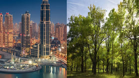 ఈ దేశాల్లో ఒక్క చెట్టు కూడా ఉండదు.. ప్రజలు ఎలా బతుకుతున్నారంటే..?