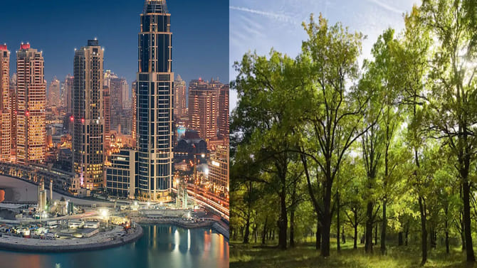 ఈ దేశాల్లో ఒక్క చెట్టు కూడా ఉండదు.. ప్రజలు ఎలా బతుకుతున్నారంటే..?