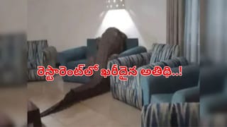 Video: ఇల్లు క్లీన్ చేస్తుండగా వరండా మూలన ఏవో చప్పుళ్లు.. లైట్ ఆన్ చేసి చూడగా..