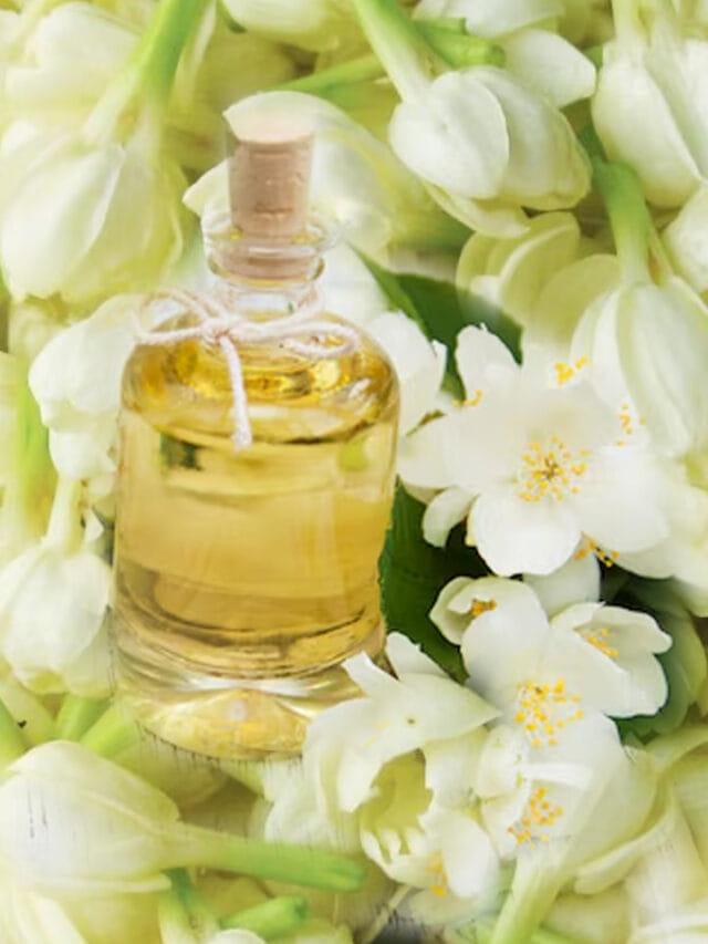 బయట కొనాల్సిన పనే లేదు.. ఇంట్లోనే మల్లెపూలతో సెంట్ తయారీ.. ఎలా అంటే?