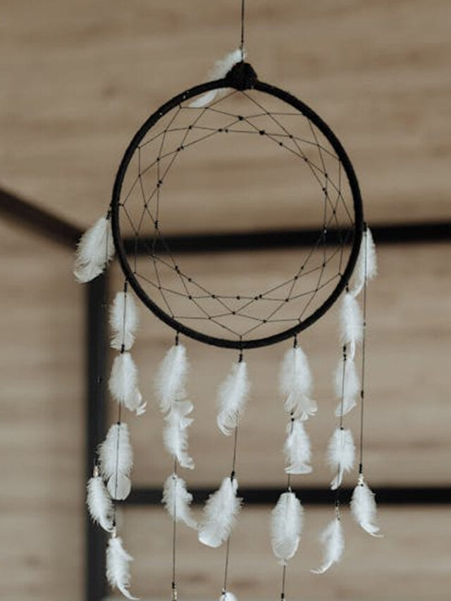 డ్రీమ్ క్యాచర్ ఇంట్లో ఉంటే మంచిదేనా? వాస్తు శాస్త్రం ఏం చెబుతుందంటే?