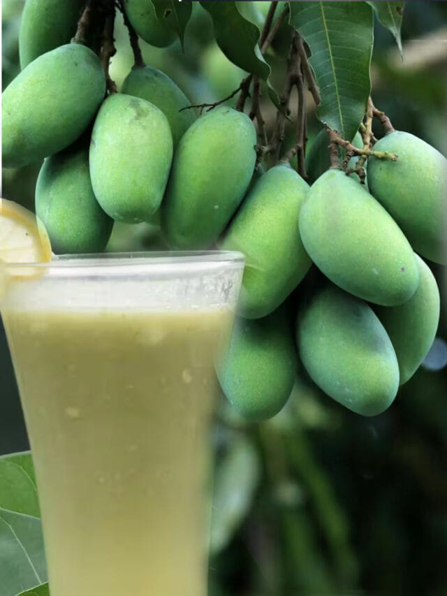 పచ్చి మామిడికాయ జ్యూస్ ఎప్పుడైనా ట్రై చేశారా.. ఇలా చేస్తే టేస్ట్ అదిరిపోద్దీ!