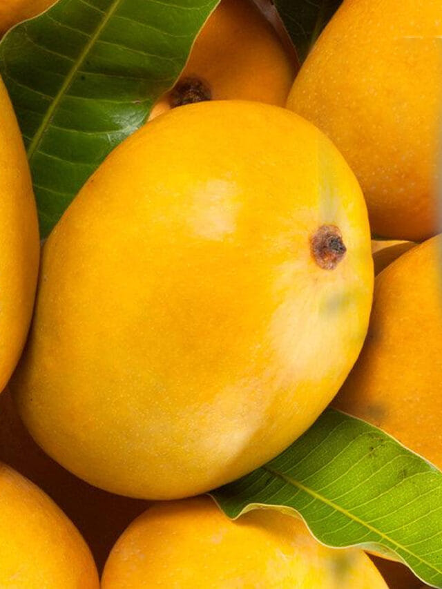 ప్రపంచంలోనే అత్యంత ఖరీదైన మామిడి పండ్లు ఇవే.. కొనాలంటే ఆస్తులు అమ్ముకోవాల్సిందే..