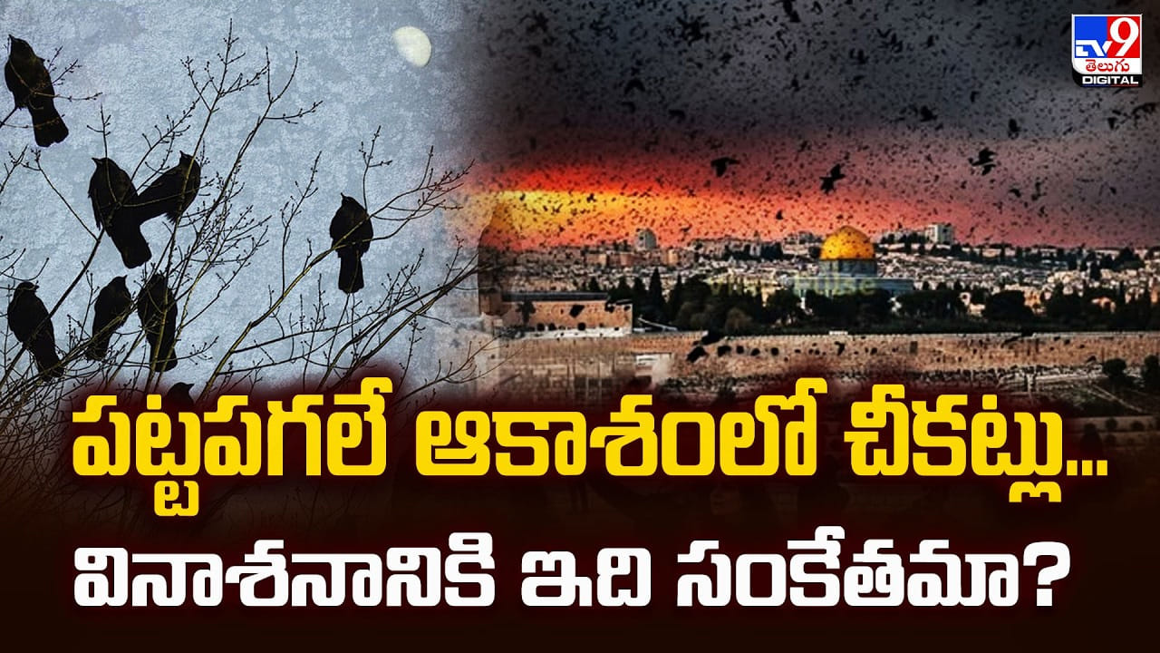 పట్టపగలే ఆకాశంలో చీకట్లు.. భయపెట్టిన కాకుల గుంపు.. వినాశనానికి సంకేతమా