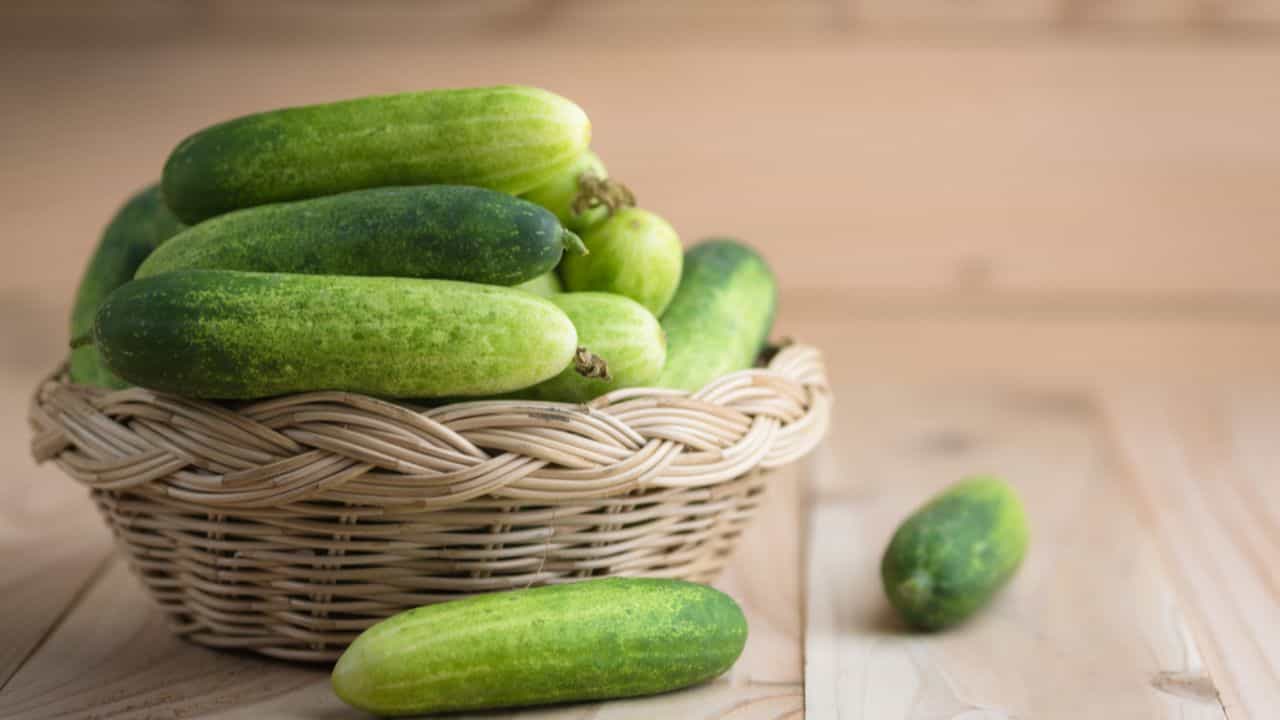 అయితే, మార్కెట్లో లభించే దోసకాయల మీద క్రిమిసంహారక మందులు చల్లుతుంటారు. కాబట్టి దోసకాయను తినే ముందు వాటిని ఉప్పు నీటితో బాగా కడగాలి. కెమికల్స్ లేదా ఇతర రసాయనాలు పోవాలని భావించే వారు తొక్క తీసి తినవచ్చు.