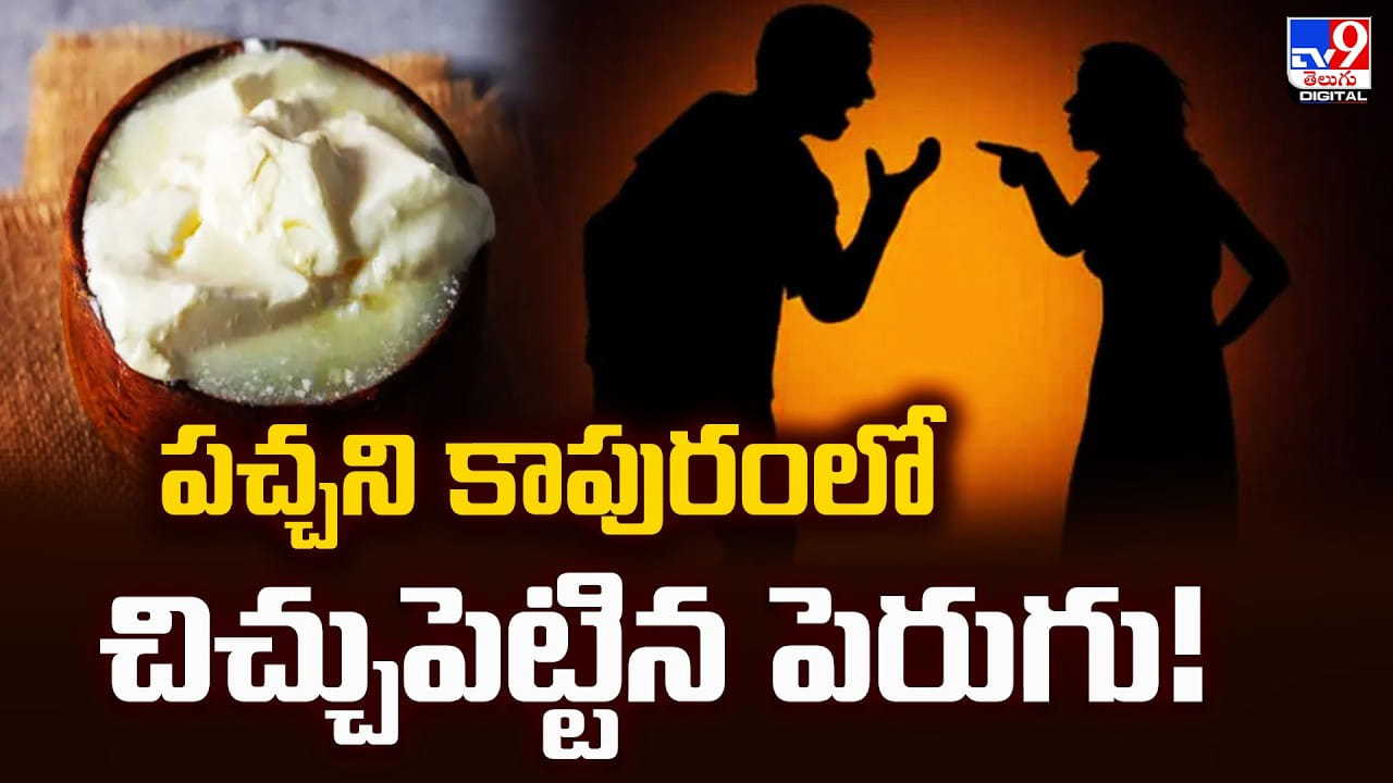 పచ్చని కాపురంలో చిచ్చుపెట్టిన పెరుగు